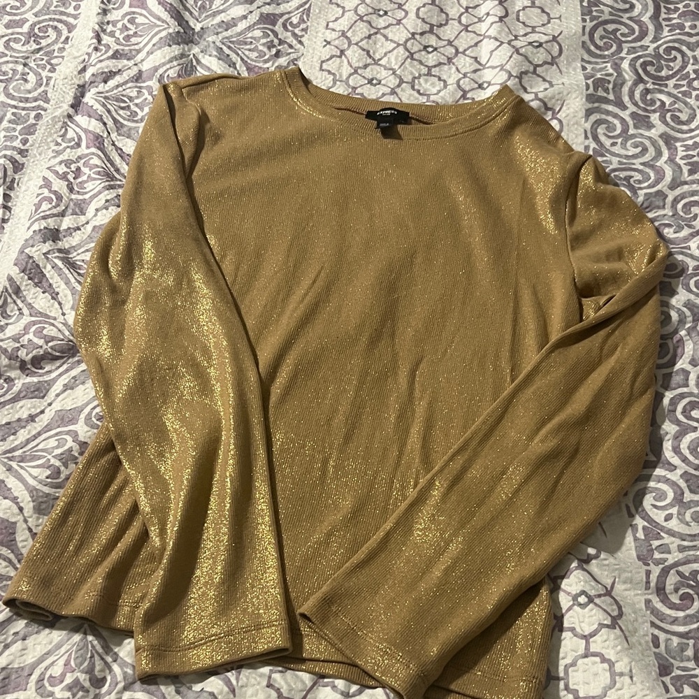 Express Metallic Gold Fitted Top